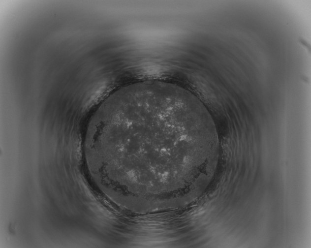 X0000096480642200801311557