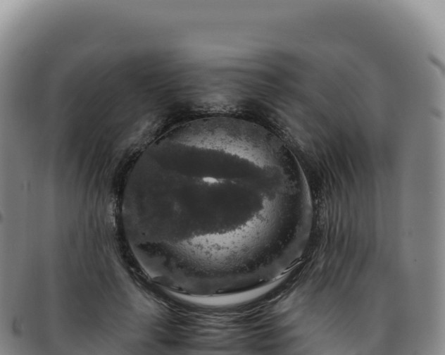 X0000096480643200801311557