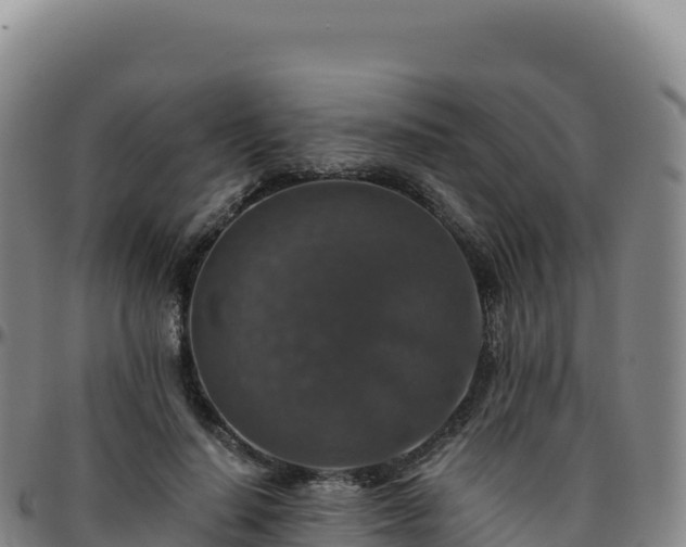 X0000096480644200801311557