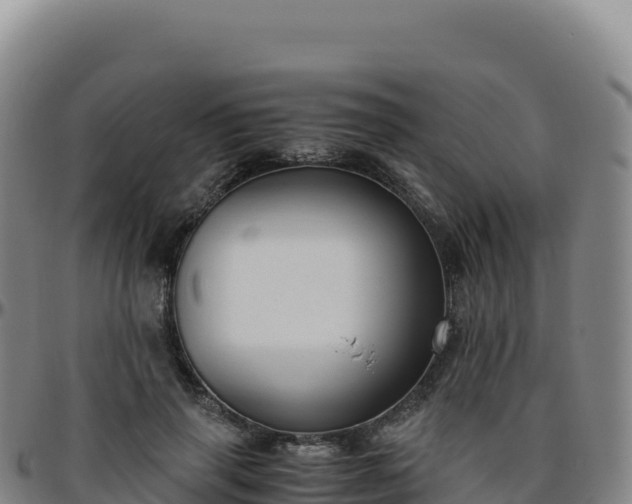 X0000096480645200801311557