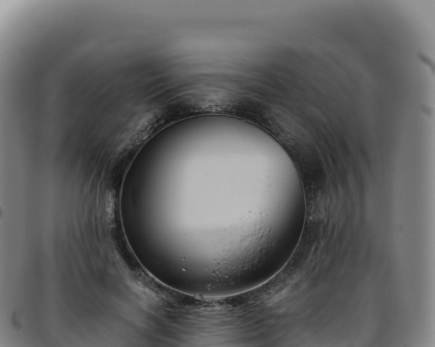 X0000096480646200801311557