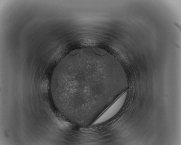 X0000096480647200801311557