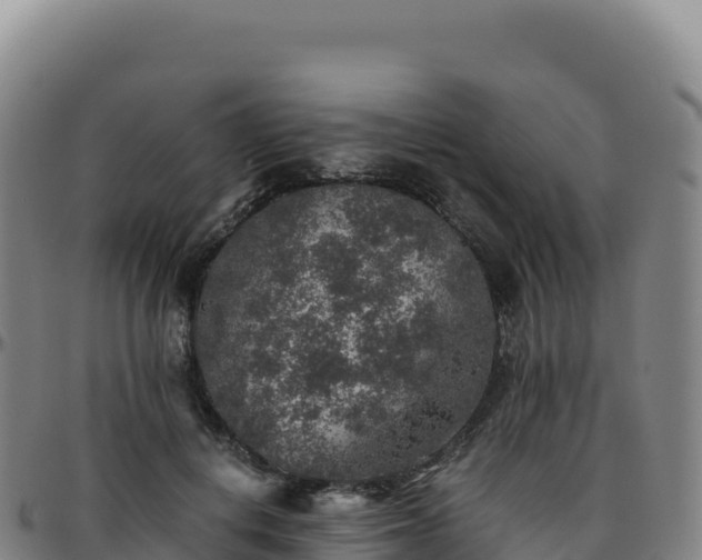 X0000096480648200801311557