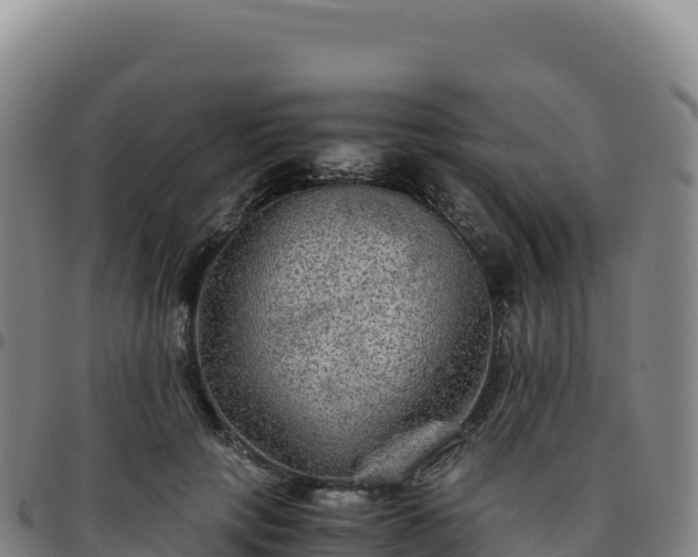 X0000096480649200801311557