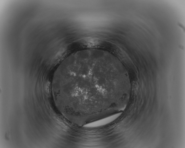 X0000096480650200801311557