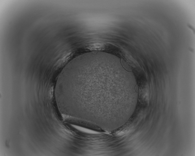 X0000096480652200801311557