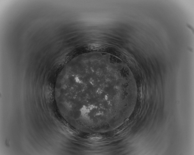 X0000096480653200801311557