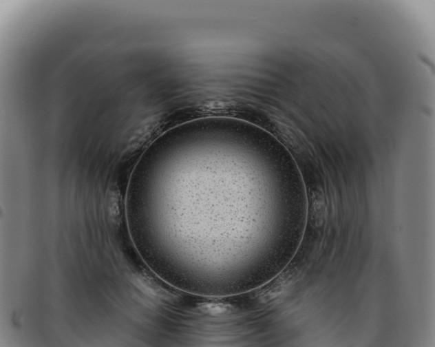 X0000096480654200801311557