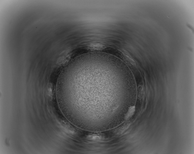 X0000096480655200801311557