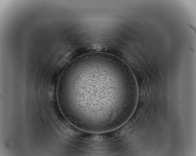 X0000096480656200801311557