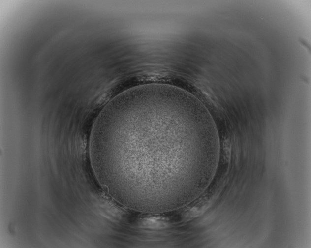 X0000096480657200801311557