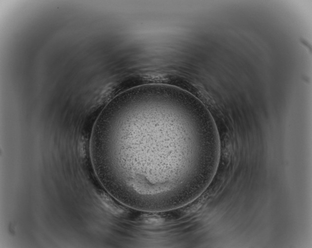 X0000096480658200801311557