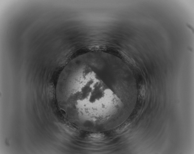 X0000096480659200801311557