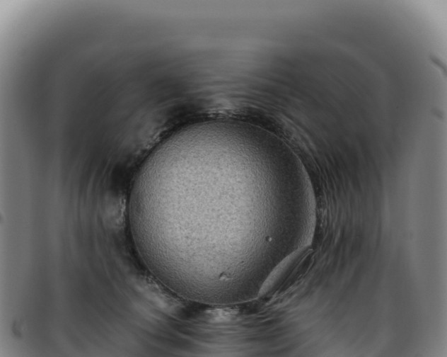 X0000096480660200801311557