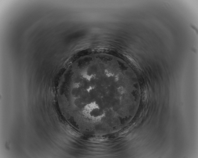 X0000096480661200801311557