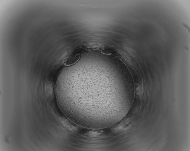 X0000096480662200801311557