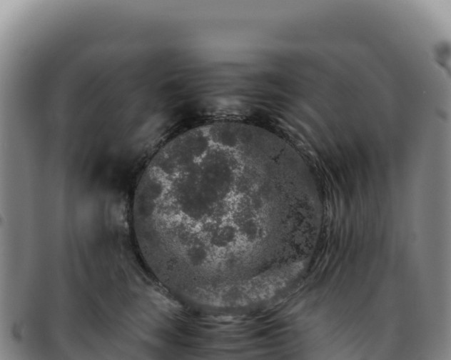 X0000096480663200801311557