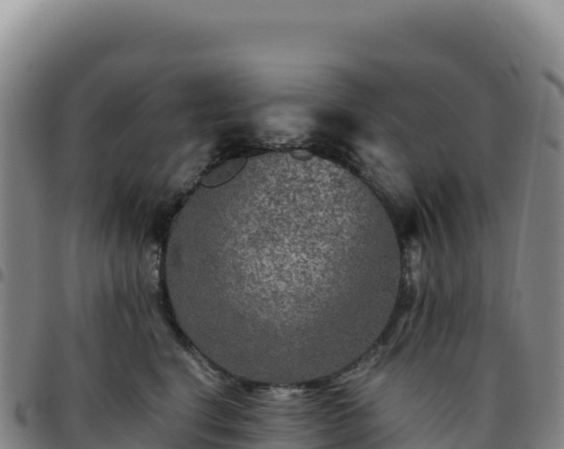 X0000096480664200801311557