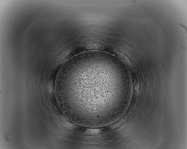 X0000096480665200801311557