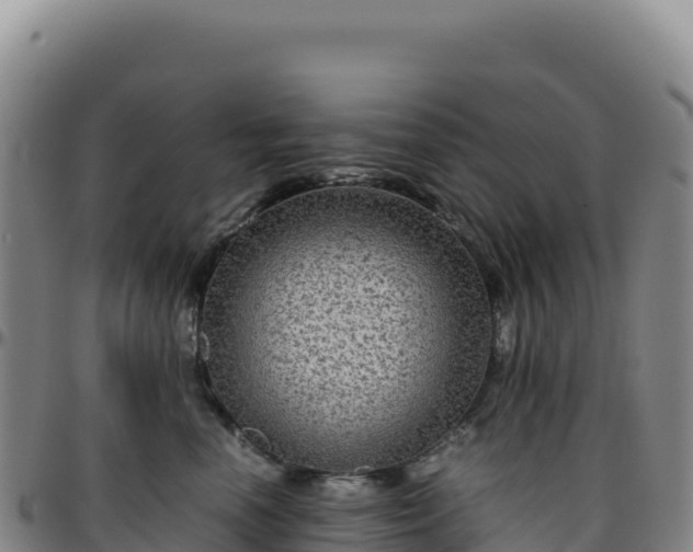 X0000096480666200801311557