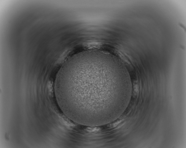 X0000096480667200801311557