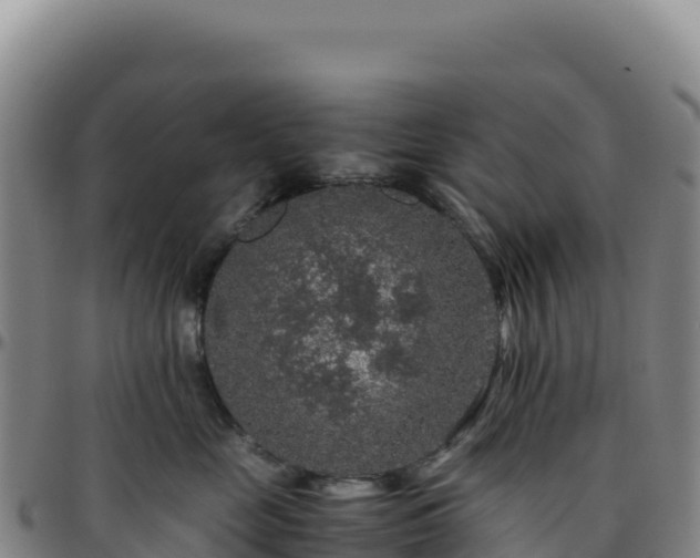 X0000096480669200801311557