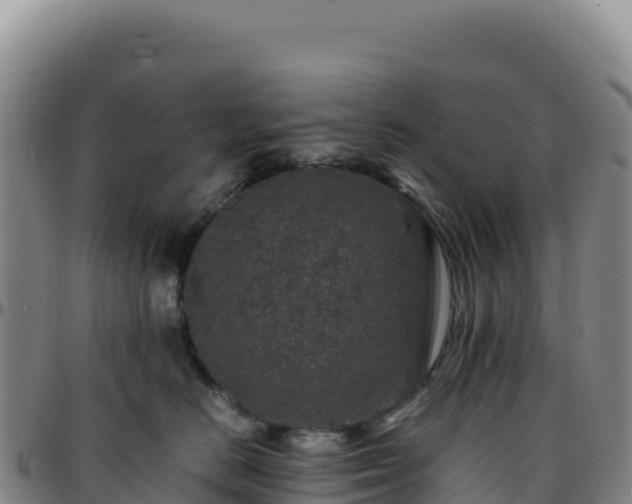 X0000096480670200801311557