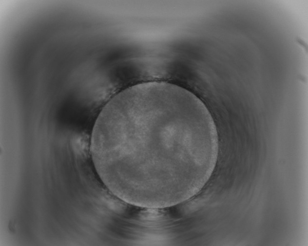 X0000096480672200801311557