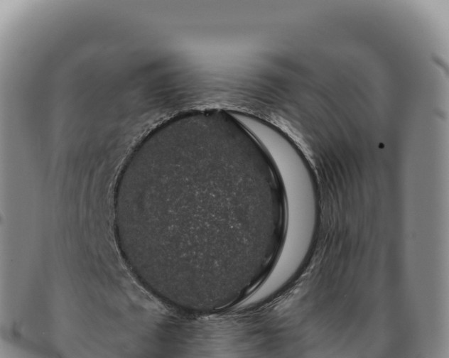 X0000096480673200801311557