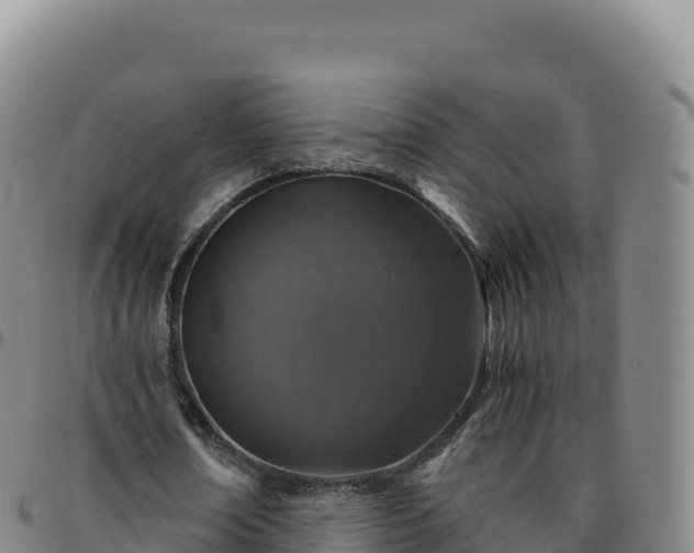 X0000096480674200801311557