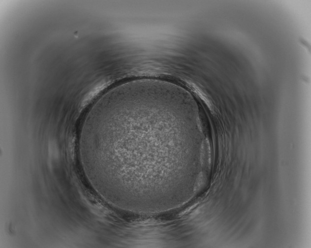 X0000096480675200801311557