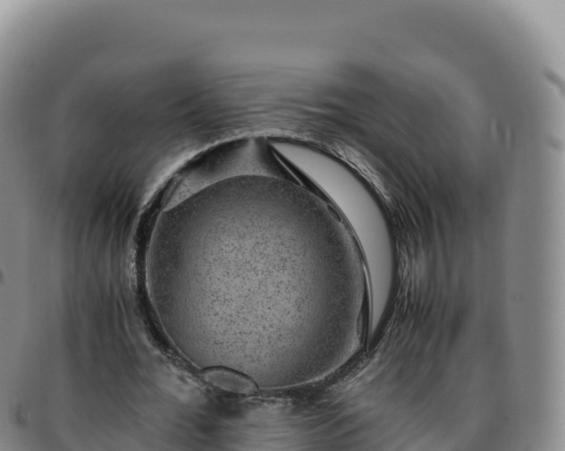 X0000096480676200801311557