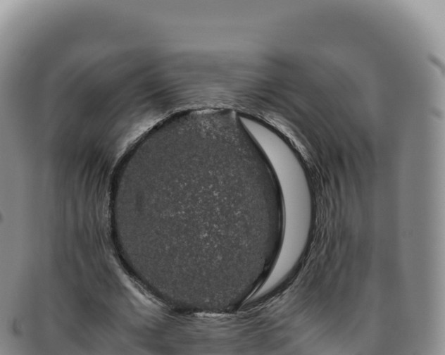 X0000096480677200801311557