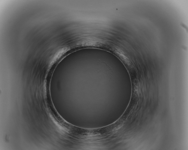 X0000096480678200801311557