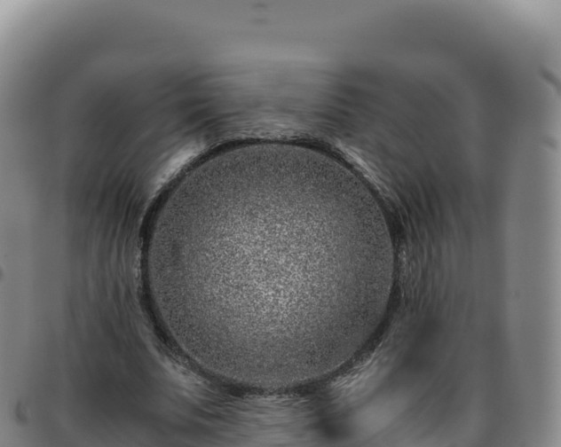 X0000096480679200801311557