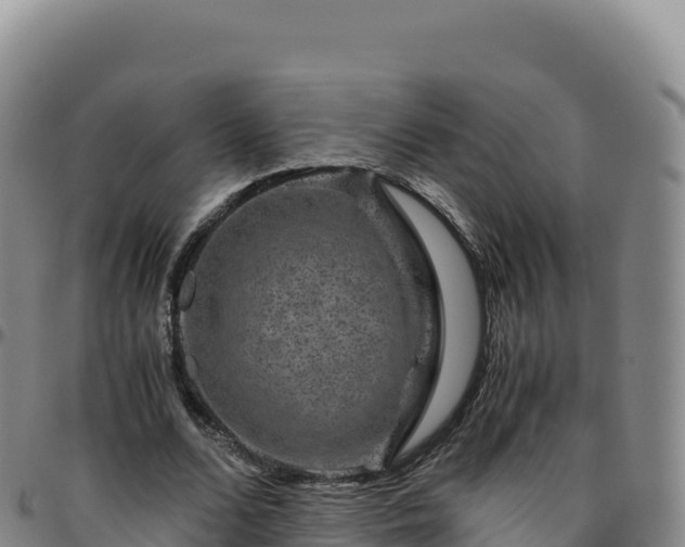 X0000096480680200801311557