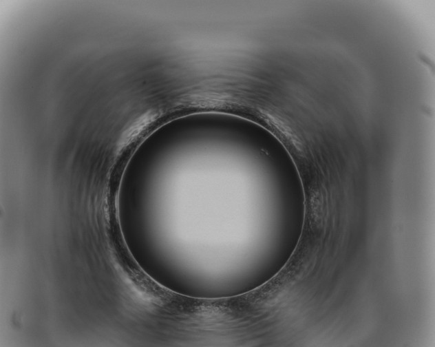 X0000096480682200801311556