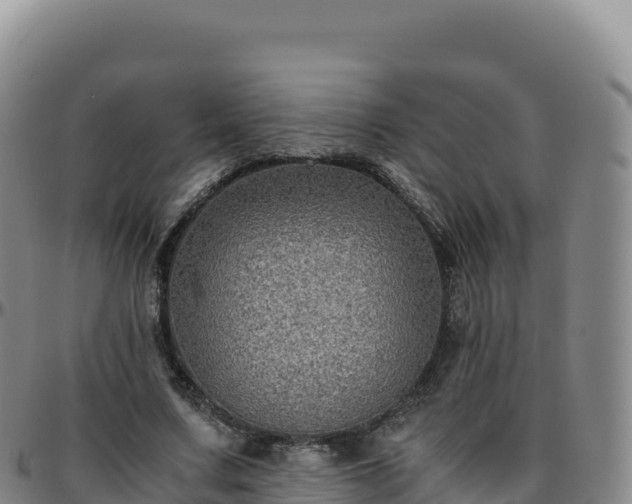 X0000096480683200801311556