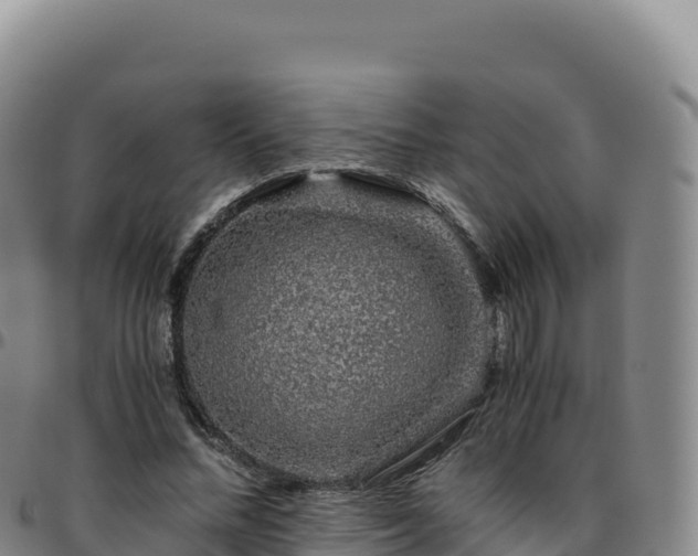 X0000096480684200801311556