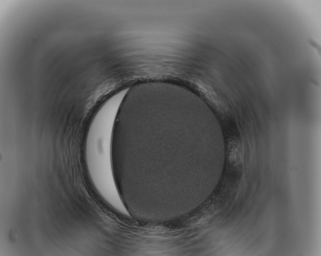 X0000096480685200801311556