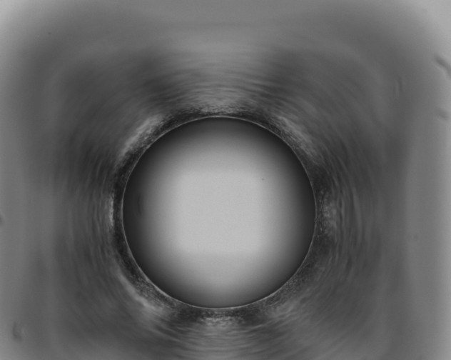 X0000096480686200801311556