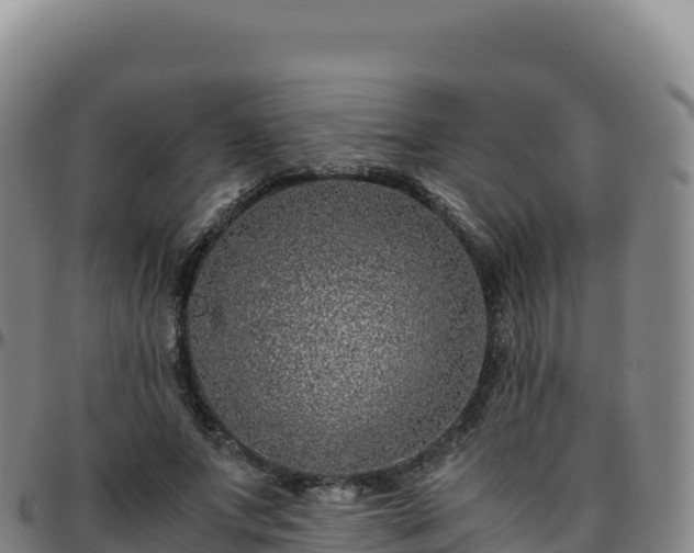 X0000096480687200801311556