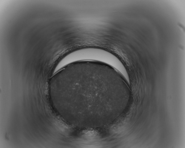 X0000096480689200801311556