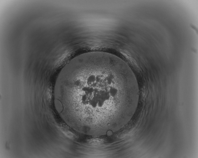 X0000096480691200801311556