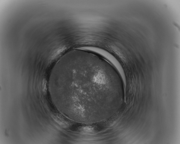 X0000096480692200801311556