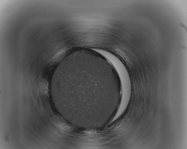 X0000096480693200801311556