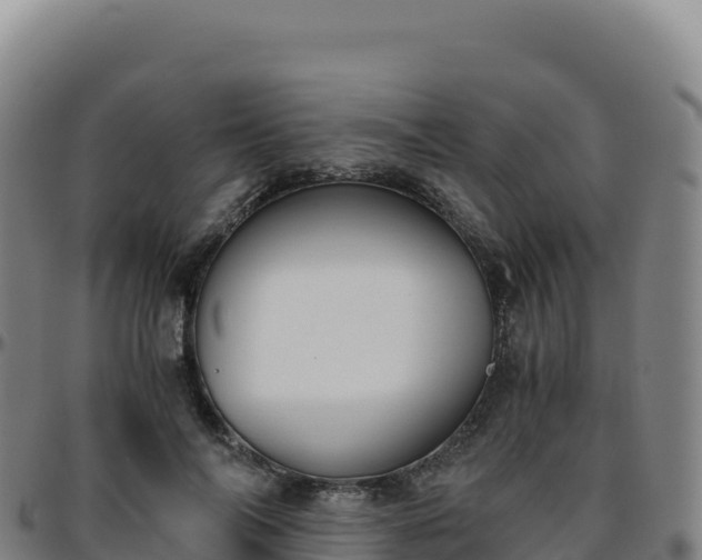 X0000096480694200801311556