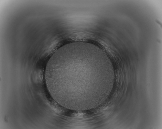 X0000096480695200801311556