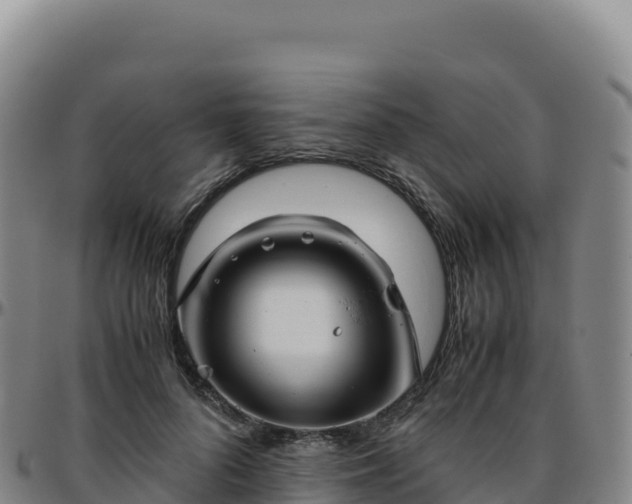 X0000096480696200801311556