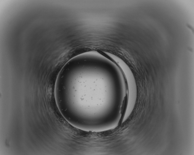 X0000096480697200801311556